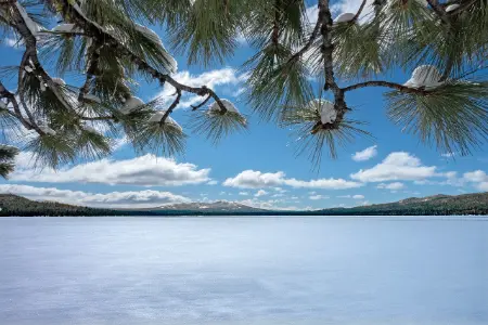 欢迎使用 Typecho